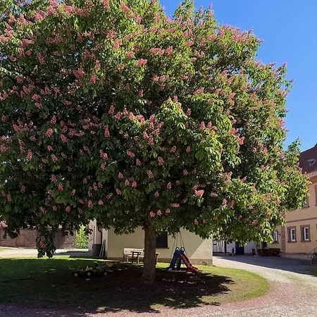 - Gutshof * Duerrhof